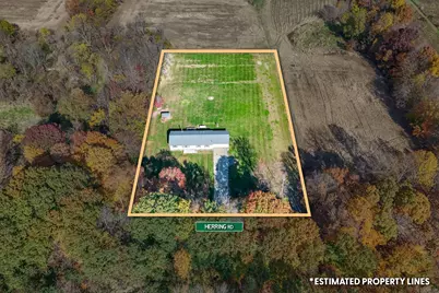 10556 Herring Road, Litchfield, MI 49252 - Photo 3