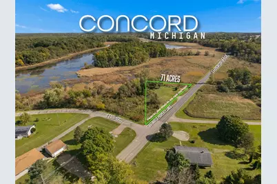 Vl Sears Road, Concord, MI 49237 - Photo 3