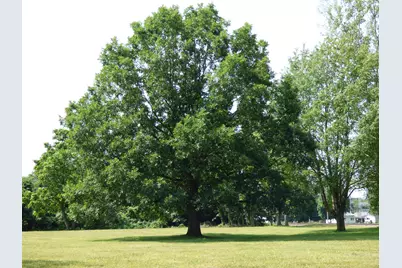 0 N Center Street, Hartford, MI 49057 - Photo 5