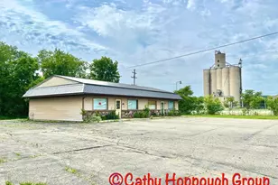 283 S Steele St, Ionia, MI 48846 - Photo 1