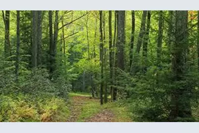 Vl 105th Avenue, Pullman, MI 49450 - Photo 1