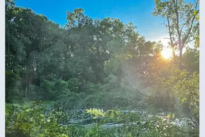 Coon Hollow Road, Three Rivers, MI 49093 - Photo 1