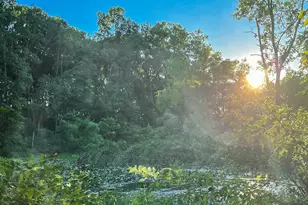 Coon Hollow Rd, Three Rivers, MI 49093 - Photo 1