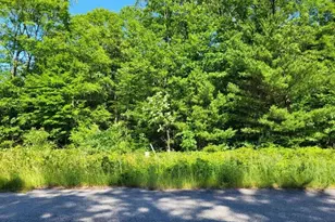 0 Serenity Ln, Whitehall, MI 49461 - Photo 1