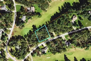 Lot 29 White Pine Dr, Cadillac, MI 49601 - Photo 1