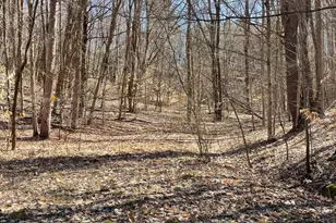 Coates Hwy, Manistee, MI 49660 - Photo 1