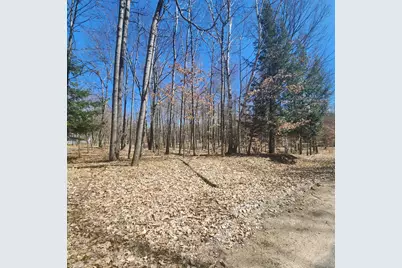 9791 Fawn Ridge Road, Canadian Lakes, MI 49346 - Photo 1
