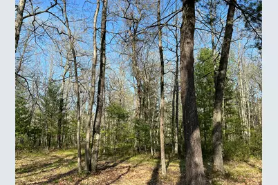 11304 N Irons Road Road, Irons, MI 49644 - Photo 1