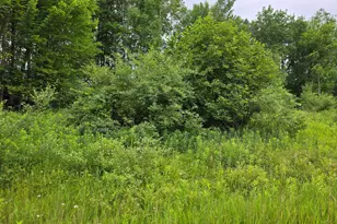 0 Lake Rd, Barryton, MI 49305 - Photo 1