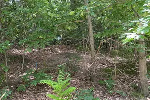 9435 Kramer Dr, Bridgman, MI 49106 - Photo 1