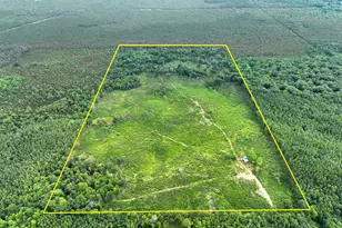 10000 Lake Station Ave, Marion, MI 49665 - Photo 1