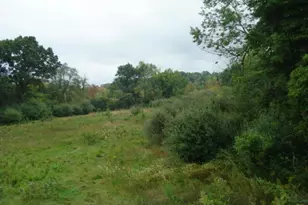V/L Hawkins Rd, Jackson, MI 49201 - Photo 1
