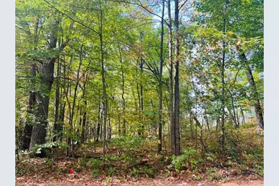 0 Ramona Park Avenue, White Cloud, MI 49349 - Photo 1