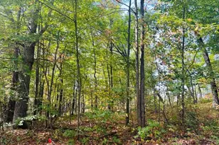 0 Ramona Park Ave, White Cloud, MI 49349 - Photo 1