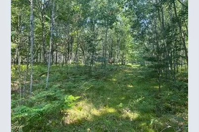 Nn W Erdman Road, Lake City, MI 49651 - Photo 1