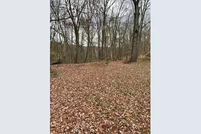 V/L Marshall Street, Allegan, MI 49010 - Photo 1