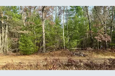 6034 S Jefferson, Baldwin, MI 49304 - Photo 1