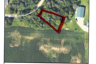 11809 W Galway, Jerome, MI 49249 - Photo 1