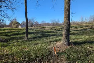 Unit 2 Hollyhock Ln, Manitou Beach, MI 49253 - Photo 1