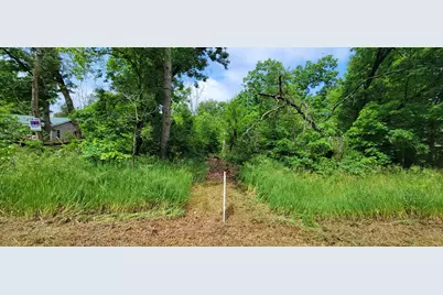 V/L Cherry Street, Baldwin, MI 49304 - Photo 1