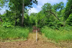 V/L Cherry St, Baldwin, MI 49304 - Photo 1