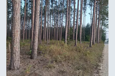 Northern Drive, Hersey, MI 49639 - Photo 1