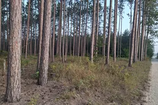 Northern Dr, Hersey, MI 49639 - Photo 1