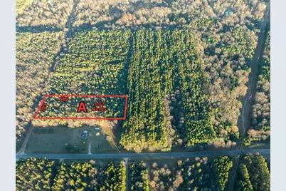 Parcel A Scout Road, Mears, MI 49436 - Photo 1