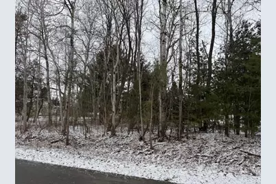 Vacant Lot 34 & 35 Maplewood Avenue, Reed City, MI 49677 - Photo 1