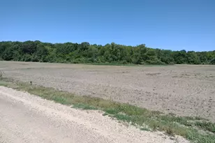 0004 118th Ave, Fennville, MI 49408 - Photo 1