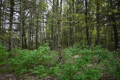 V/L 6th Street, Twin Lake, MI 49457 - Photo 1