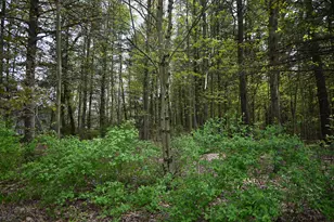 V/L 6th St, Twin Lake, MI 49457 - Photo 1