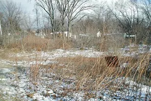 0 Red Arrow Hwy, Stevensville, MI 49127 - Photo 1