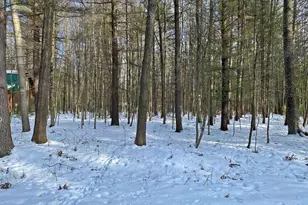 6790 Walnut Grove, Canadian Lakes, MI 49346 - Photo 1