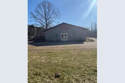 12016 N Woodbridge Avenue, Bitely, MI 49309 - Photo 1