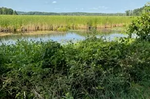 7908 Park Ave, Rodney, MI 49342 - Photo 1