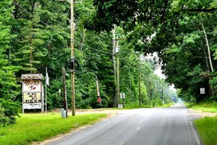 W 11 Mile Ave, Bitely, MI 49309 - Photo 1
