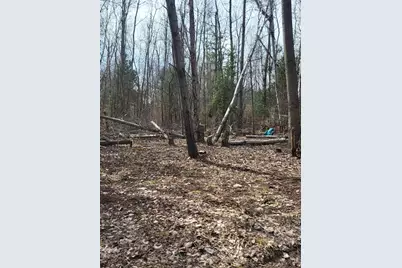 3049 N Dickinson Avenue, Hesperia, MI 49421 - Photo 1