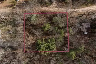 0 Saginaw Trail, Howard City, MI 49329 - Photo 1