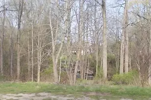 V/L S Bridge St, Saranac, MI 48881 - Photo 1