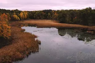 6691 N 38th St, Richland, MI 49083 - Photo 1