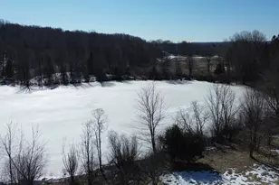 V/L 30A E Pierce Rd, Shelby, MI 49455 - Photo 1