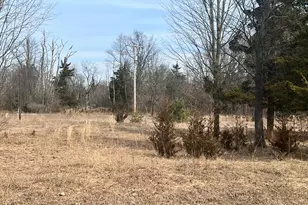 Vl 54th St, Grand Junction, MI 49056 - Photo 1