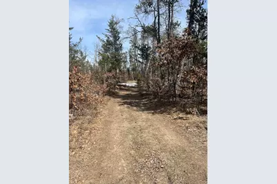 11168 W 52 Rd, Wellston, MI 49689 - Photo 1