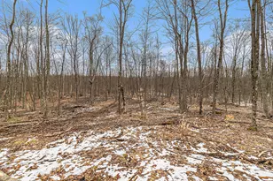 00 E Oakwood Trail, Reed City, MI 49677 - Photo 1