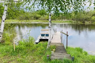 Vl W Lake Dr, Sears, MI 49679 - Photo 1