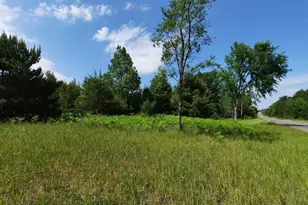 19 5 Acres 9 Mile Rd, Kaleva, MI 49645 - Photo 1
