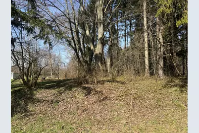 16802 Runyon Road, Buchanan, MI 49107 - Photo 1