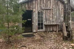 10 Acres +/- V/L S Queens Hwy, Chase, MI 49623 - Photo 1