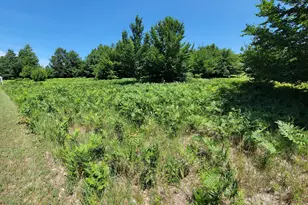 Eagle Ridge Circle, Onekama, MI 49675 - Photo 1